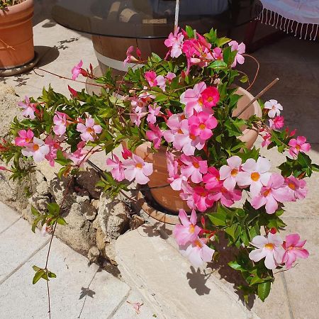 Bed and Breakfast Fenetre Sur Les Alpilles Saint-Martin-de-Crau Exterior foto